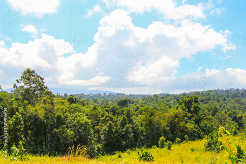 Green tree with grass land forest mountain landscape blue sky views at Khao yai national park Thailand © Luis2499