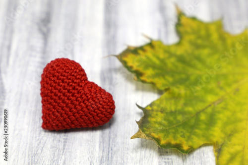 Red knitted heart and yellow maple leaf on wooden table. Background for health care in autumn season  depression  blood donation  love card