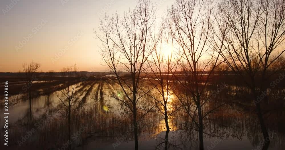 Aerial, beautiful fall landscape on a big pond on sunset with low water and sun reflections Aerial, beautiful fall landscape on a big pond on sunset with low water and sun reflections