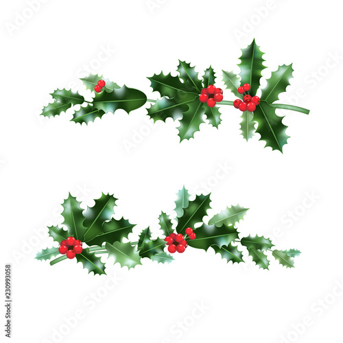 Holly nature branches set