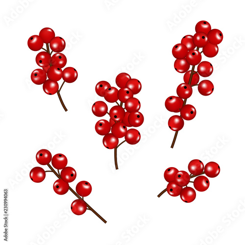Christmas red berries set, isolated on white background.