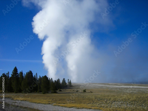 a geyser in the rocky mountains near the forest