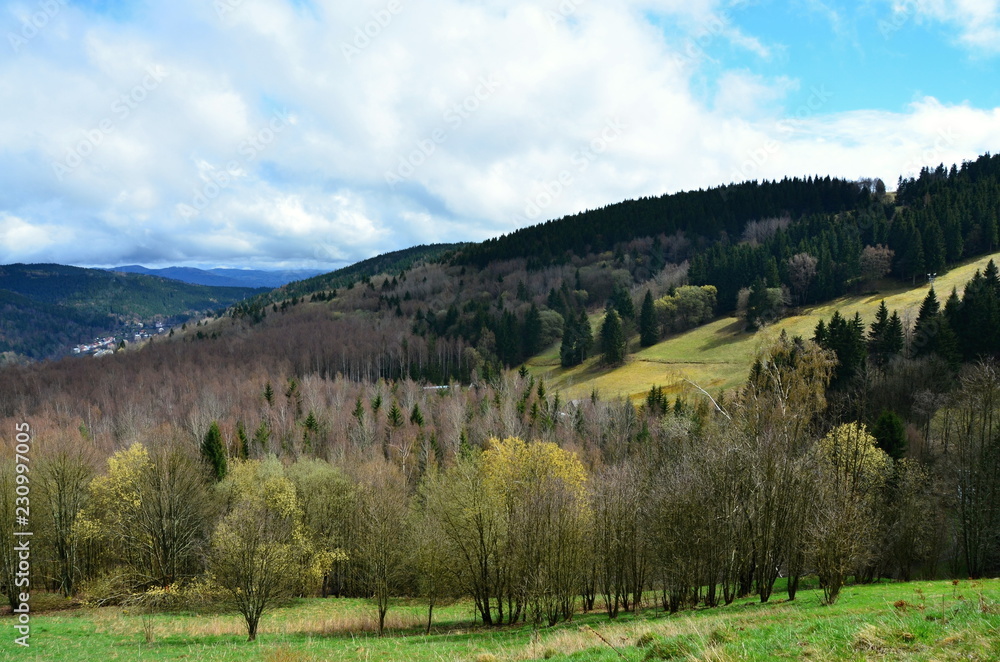 View to the spring landscape in the Ore Mountains
