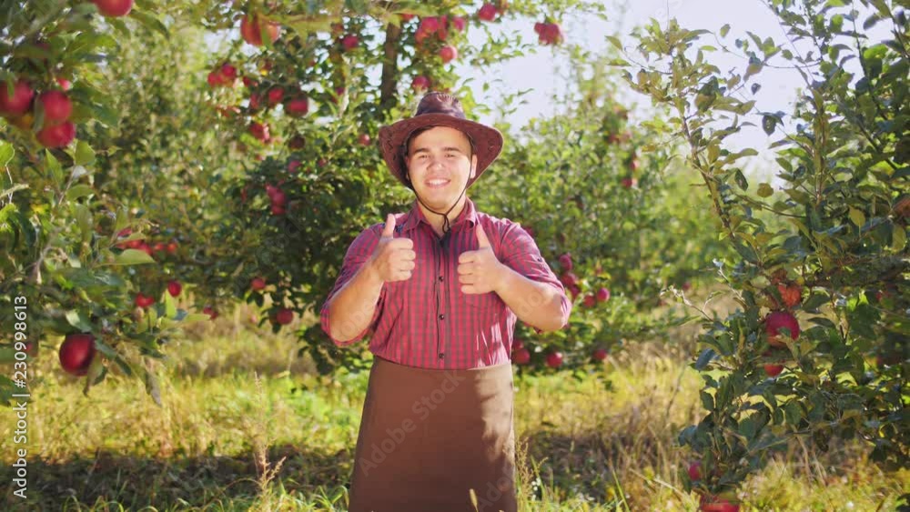 Portrait of farmer in hat showing thumbs to up in the apple garden Portrait of farmer in hat showing thumbs to up in the apple garden