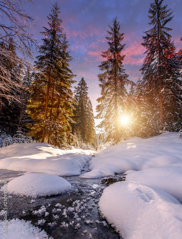 Naklejka premium winter landscape