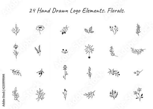 Vector set of floral hand drawn elements in elegant and minimal style. © julia_khimich
