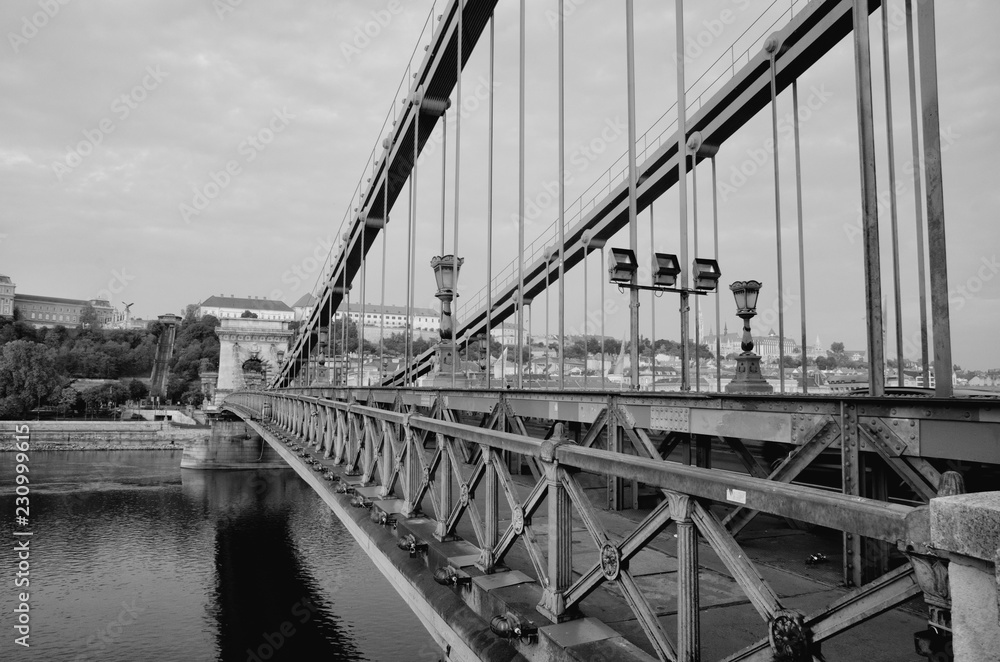 Fototapeta premium Close up of vintage metal fence of Chain Bridge. Black white abstract architecture background. Hungary, Budapest
