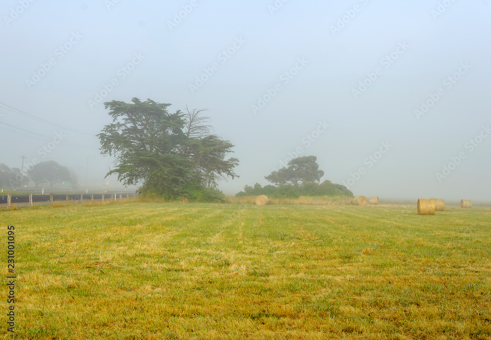 Fototapeta premium Foggy dawn in Warrnambool, Australia. Beautiful morning light.