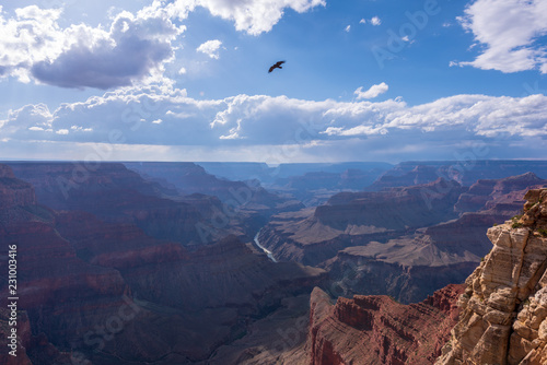 Grand Canyon, Bird Flying