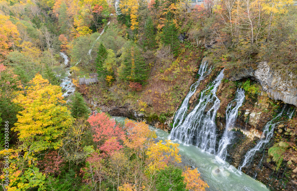 Beautiful Shirahige Waterfall and colourful tree in autumn