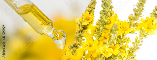 herbal extract close up - macro photo (mullein flower - verbascum)