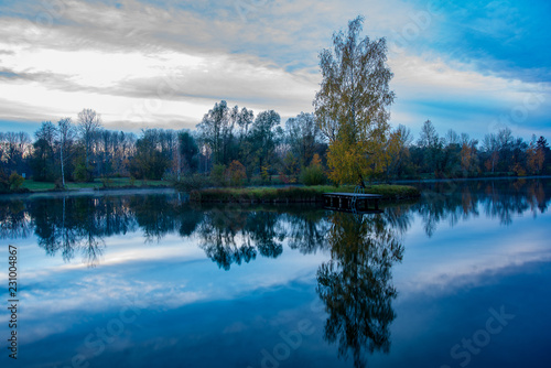 View of trees reflected on lake surface early in the morning