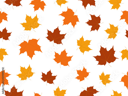 Maple leaves seamless pattern isolated on white background