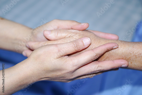 Holding Touching hands Asian senior or elderly old lady woman patient with love, care, helping, encourage and empathy at nursing hospital ward : healthy strong medical concept 