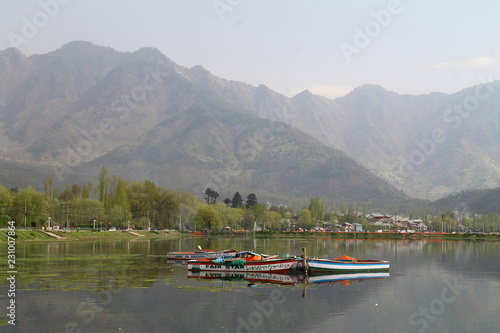 SRINAGAR, JAMMU AND KASHMIR, INDIA April 2017 : Beautiful landscape in Dal Lake © Piyanai