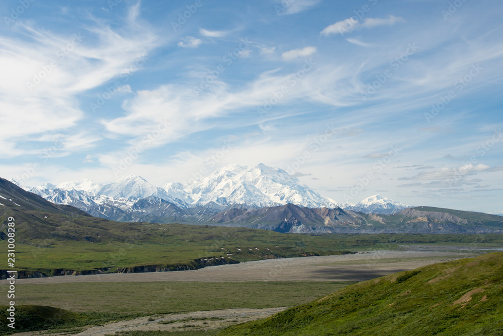Fototapeta premium Mt. Denali