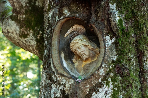 Lord of Mainz, stone Christ figure, grown in a willow beech, near Gutenbach, Black Forest, Baden-Wurttemberg, Germany, Europe photo