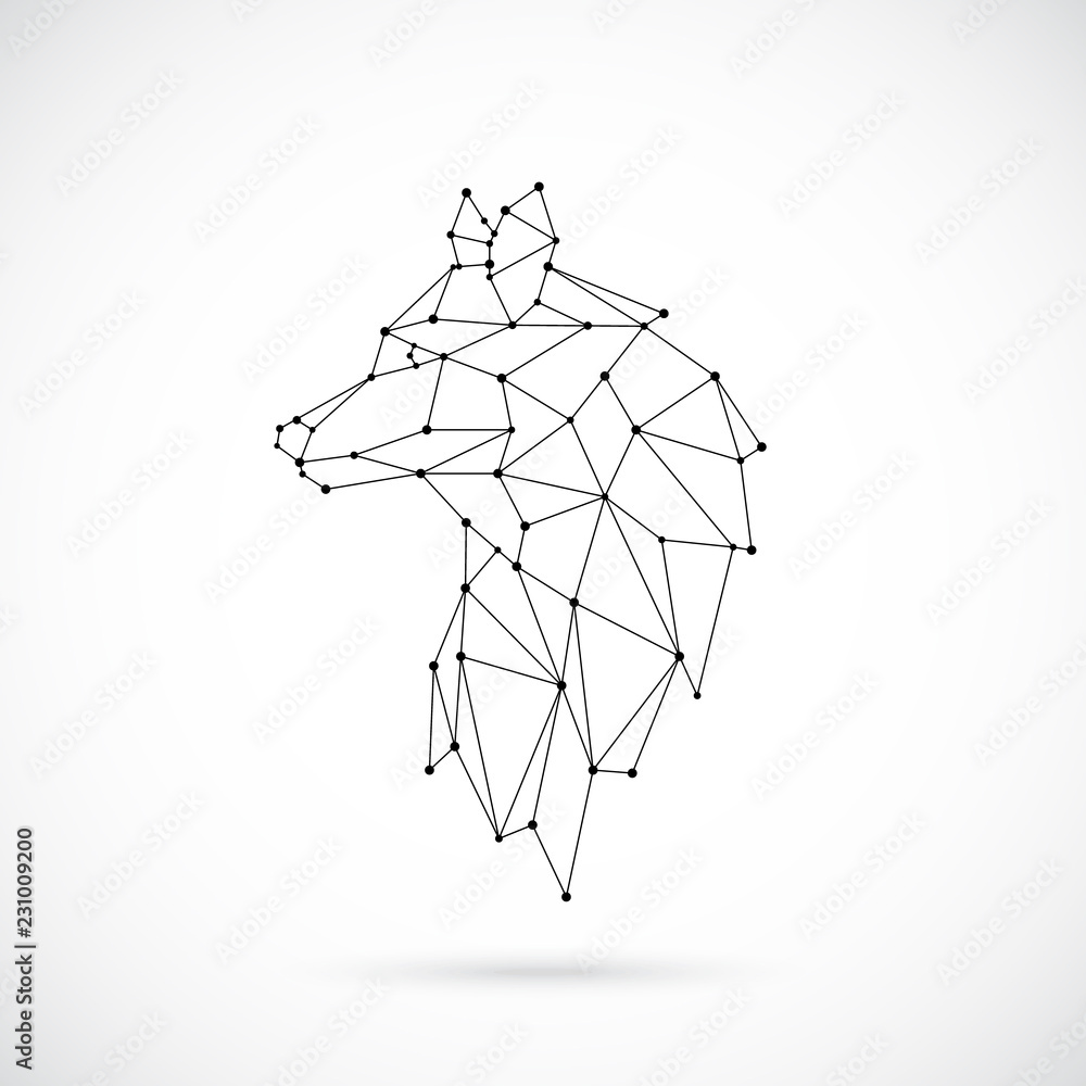 Fototapeta Geometric Wolf silhouette. Image of Lion in the form of constellation. Vector illustration.