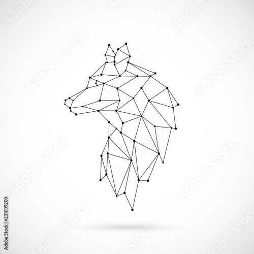 Geometric Wolf silhouette. Image of Lion in the form of constellation. Vector illustration.