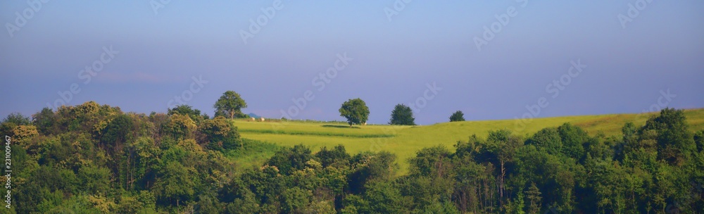Obraz premium Blue and green minimalism, lonely tree on the field and beautiful lillac sky