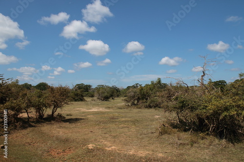 Yala Safari Park Sri Lanka 