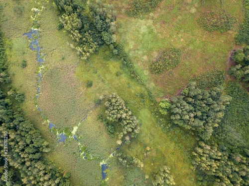 Beautiful green drone landscape with small wild river in forest