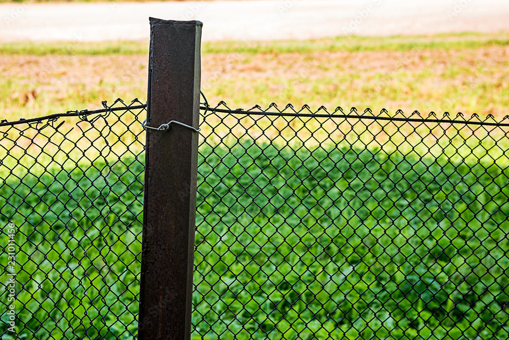 Wire mesh fence with a metal post Wire mesh fence with a metal post