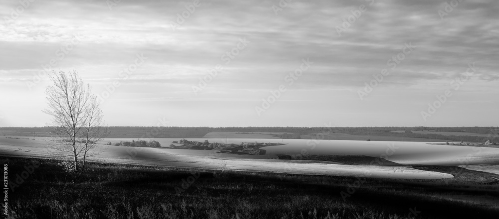 Fototapeta premium Black and white landscape with tree against sunrise