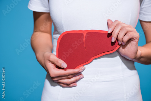 cropped shot of woman holding paper crafted liver in hands on blue background photo