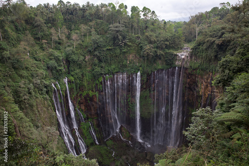 The lush jungle surrounds these cliffs that water pours over every spot, creating this stunning waterfall, Coban Sewu