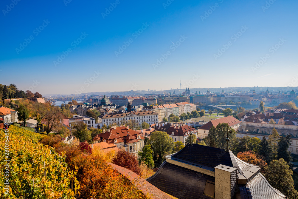 Vue sur le Vignoble de Saint-Venceslas sur la ville de Prague
