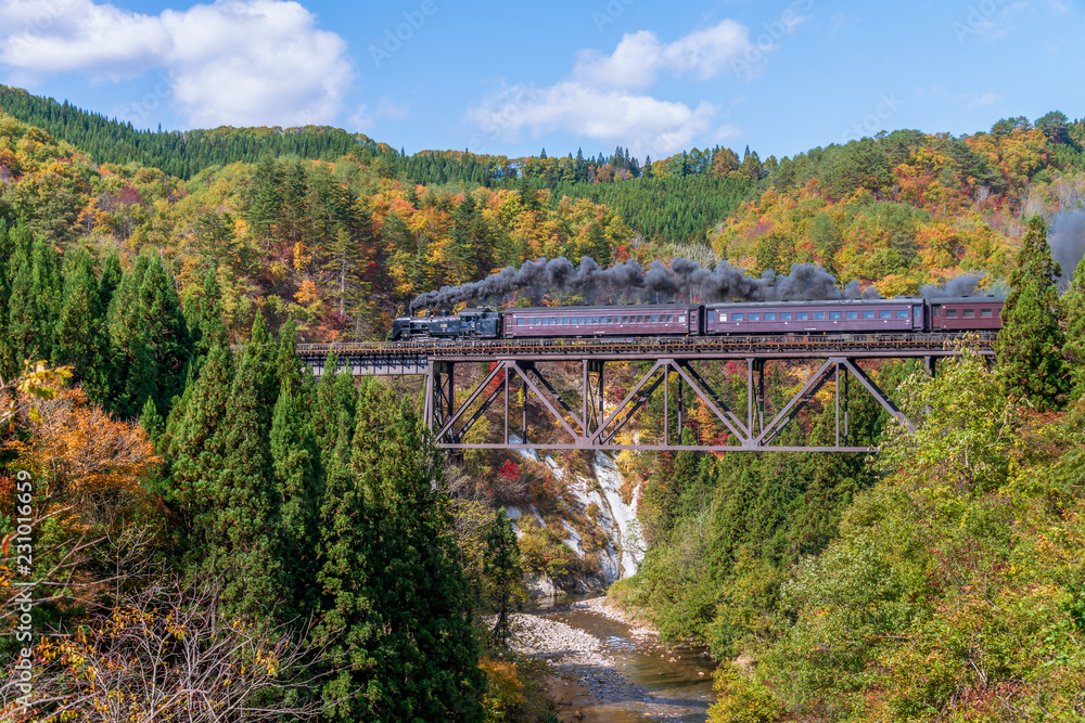 Steam locomotive train crossing the Takiya bridge on Tadami line with beautiful autumn season. Steam locomotive train crossing the Takiya bridge on Tadami line with beautiful autumn season.