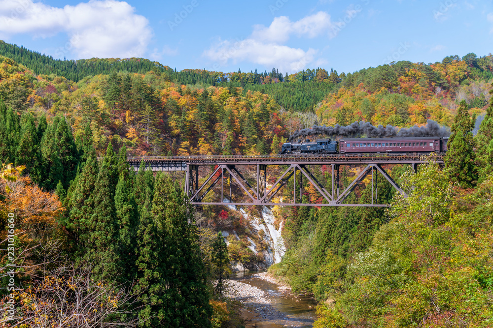 Steam locomotive train crossing the Takiya bridge on Tadami line with beautiful autumn season. Steam locomotive train crossing the Takiya bridge on Tadami line with beautiful autumn season.