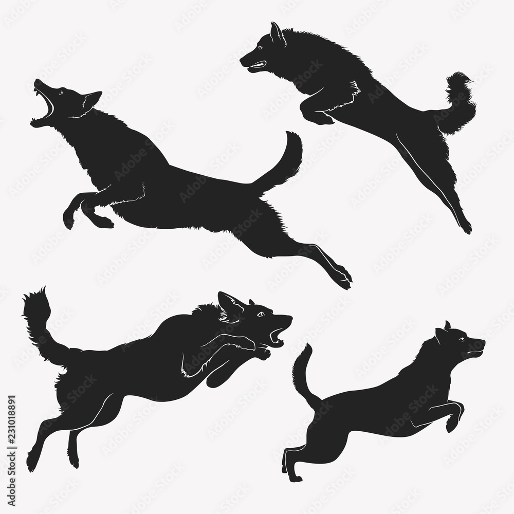 Dog jumping. A set of jumping dogs. Active dogs. Evil dogs. Vector