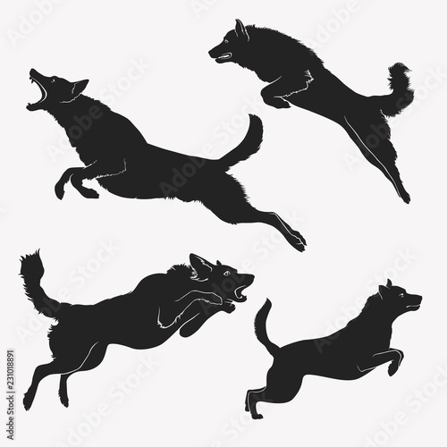 Dog jumping. A set of jumping dogs. Active dogs. Evil dogs. Vector illustration.