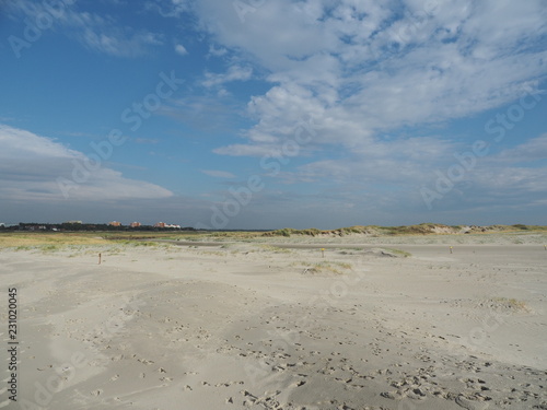 Obraz na płótnie Sankt Peter-Ording - Pfahlbauten, Salzwiesen, Strandkörbe und Strand an der Nord
seeküste am Nationalpark Wattenmeer w salonie