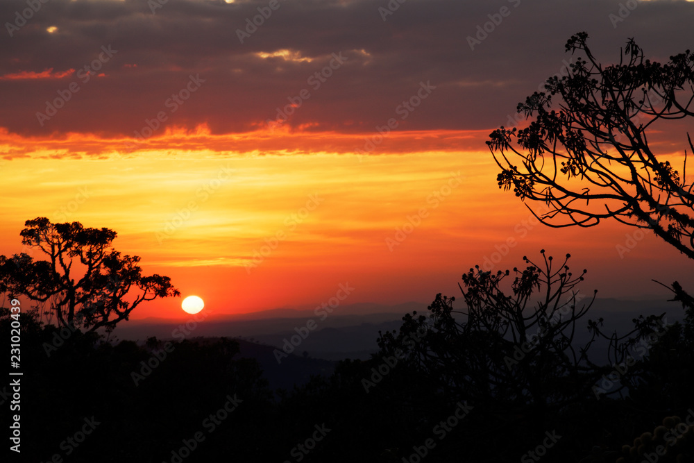 Trees silhouettes at sunrise in the Brazilian mountains Trees silhouettes at sunrise in the Brazilian mountains