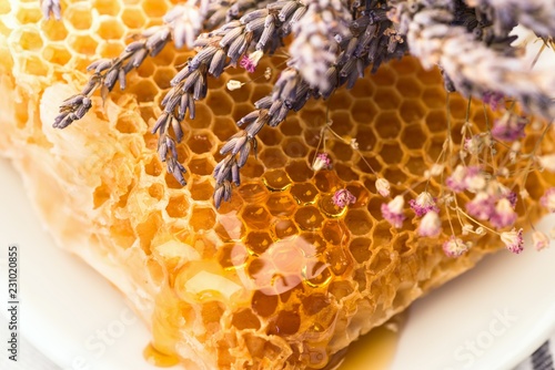 Honeycomb with flower. photo