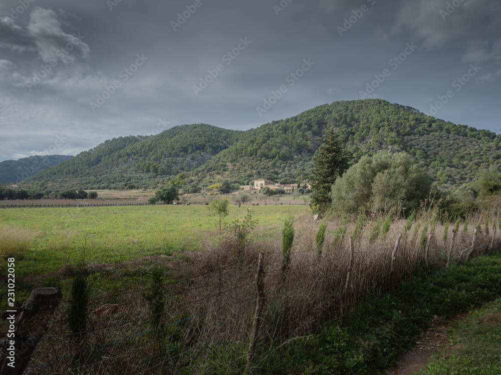 paisaje paisaje