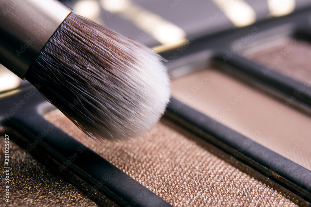 brush in the palette of shadows macro brush in the palette of shadows macro