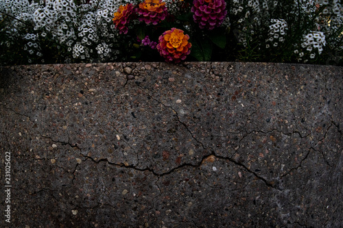 Dark Flower Pot Background