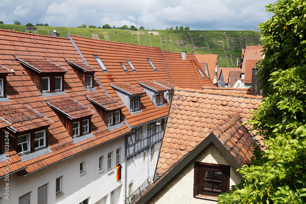 Dächer in Besigheim