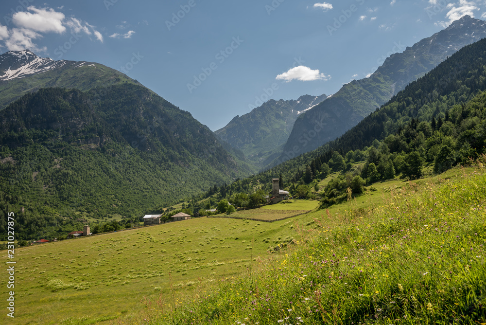 View of village Zhabeshi with traditional old stone towers surrounded by green meadows under high mountains Caucasus close to Mestia, Georgia
