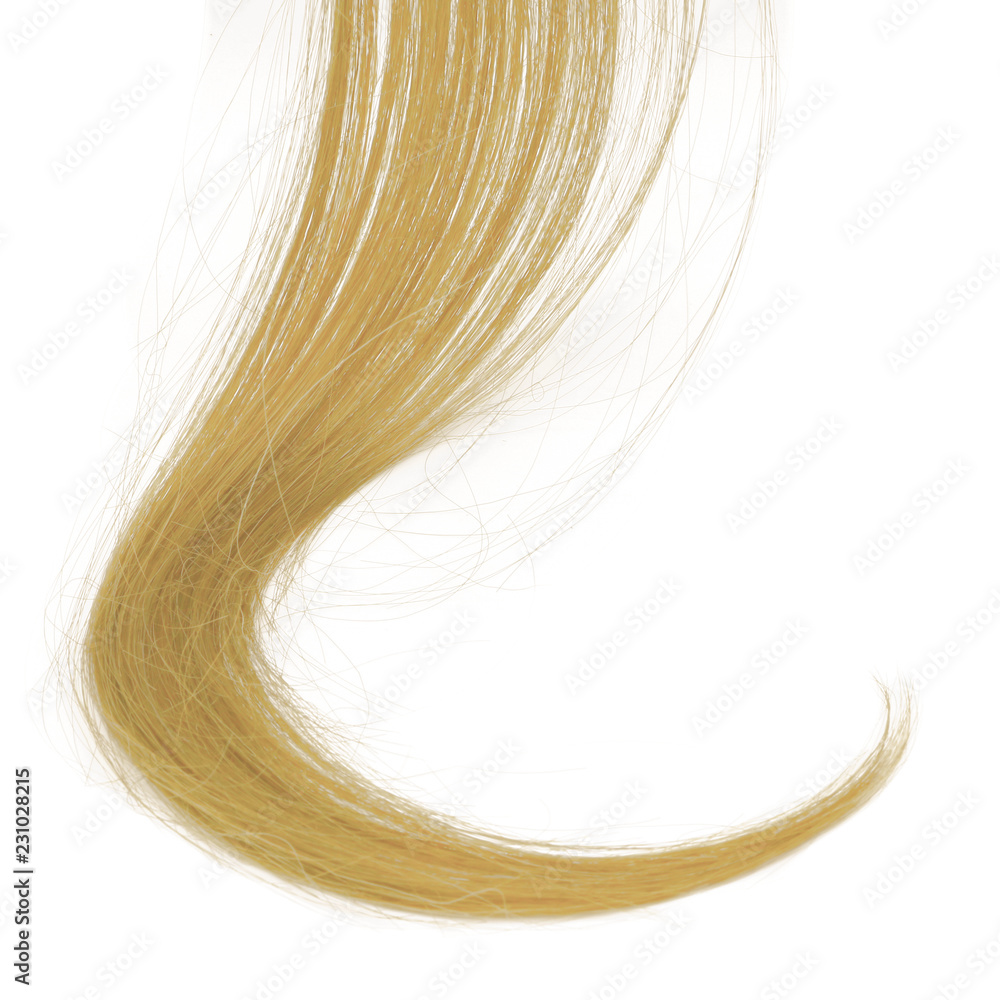 a strand of blond hair on a white background, isolated