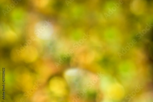 yellow-green blurred background