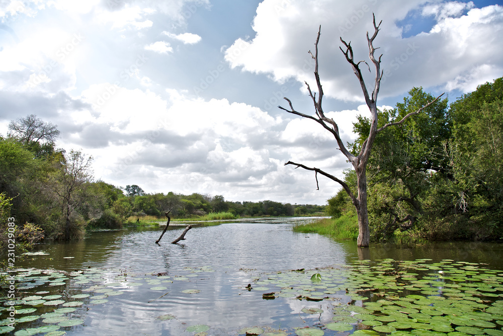Natural River