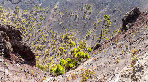 View inside the crater of Volcano Sant Antonio in La Palma, Canary Islands