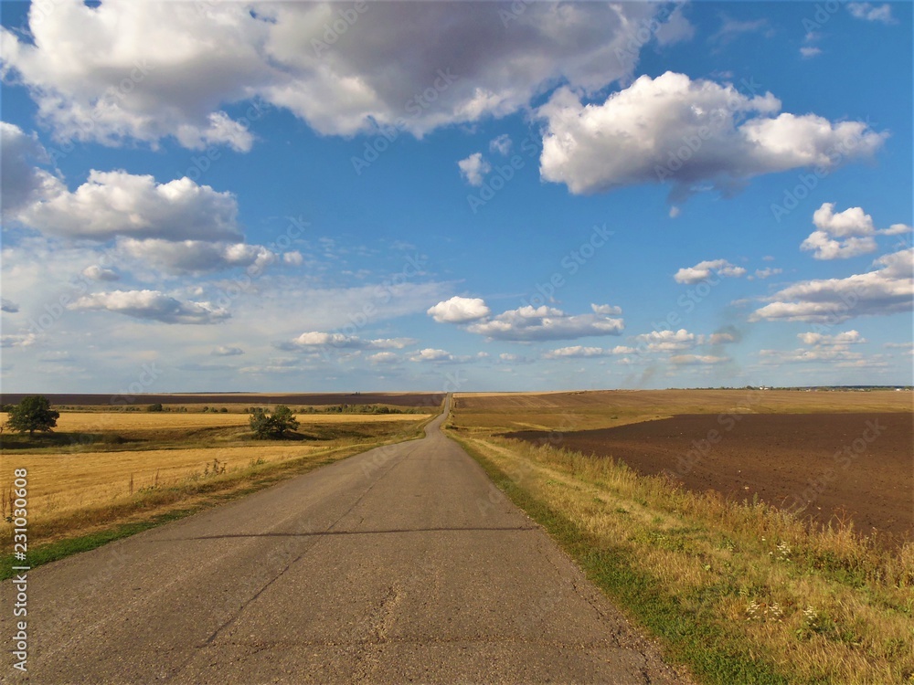 Russia, Ryazan region, asphalt road across the field