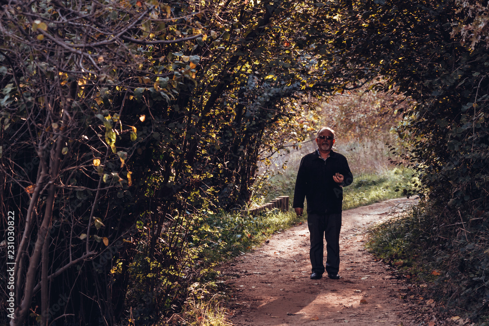 Man Walking on the Pathway Surrounded with Green Trees and Bushes