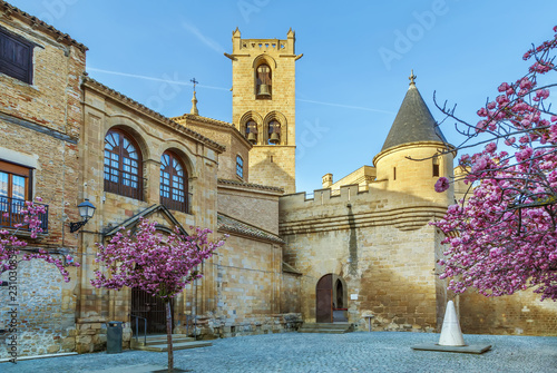 Canvas Print Palace of the Kings of Navarre, Olite, Spain